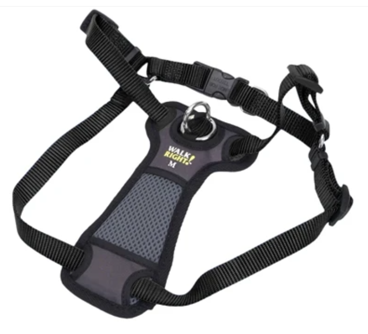 Coastal Pet Products Walk Right! Front Connect Padded Dog Harness