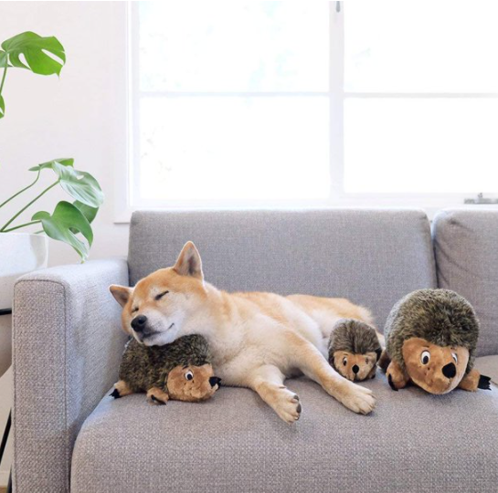 Outward Hound Hedgehogz Grunting Plush Dog Toy