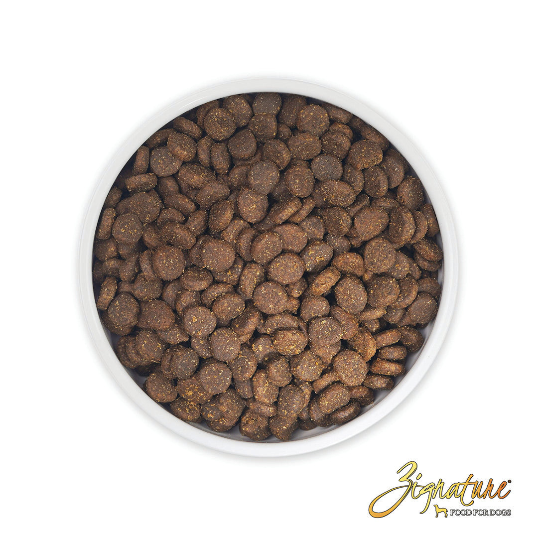Zignature Trout & Salmon Meal Limited Ingredient Formula Grain-Free Dry Dog Food