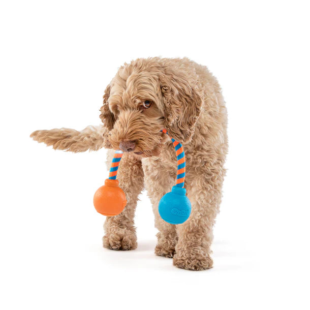 Guru Squeaking Rope Dog Toy