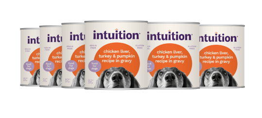 Intuition Chicken Liver, Turkey & Pumpkin Recipe in Gravy Grain-Free Canned Dog Food
