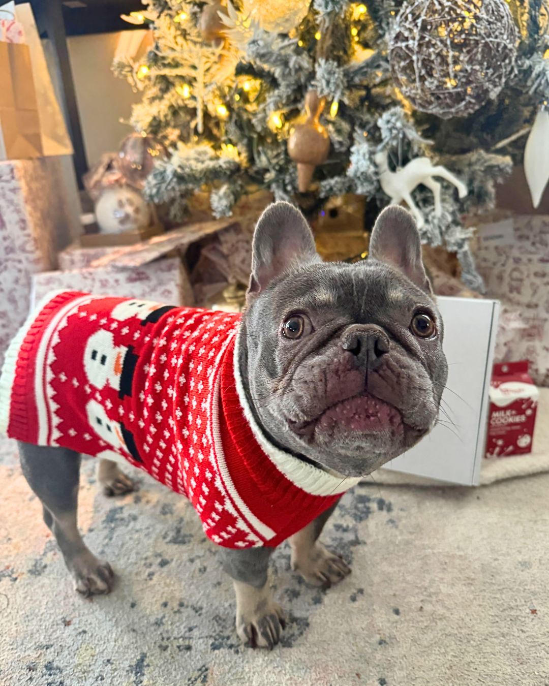 Pet Obsession Holiday Snowmen Pet Sweater