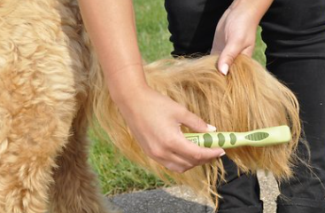 Coastal Pet Products Safari Dog Mat Remover