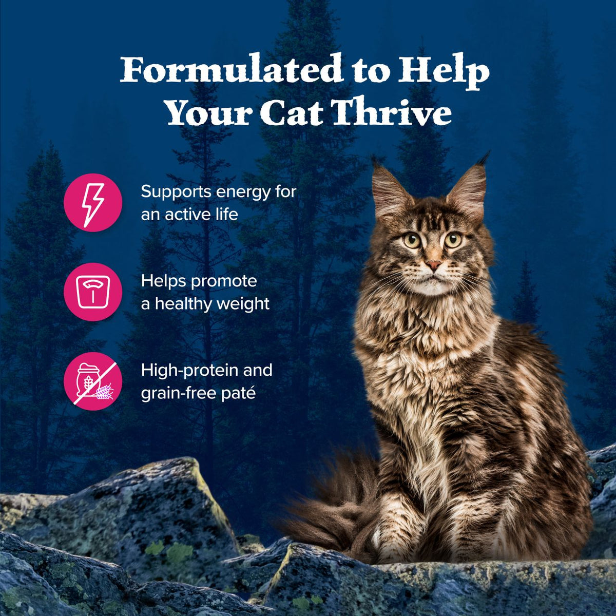 Blue Buffalo Wilderness High Protein Salmon Recipe Grain-Free Canned Cat Food