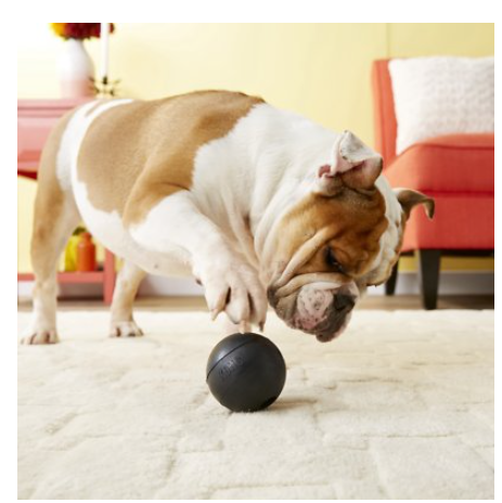 Kong Extreme Ball Dog Toy M/L