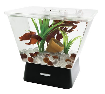 Marineland LED Betta Tank 1 gal