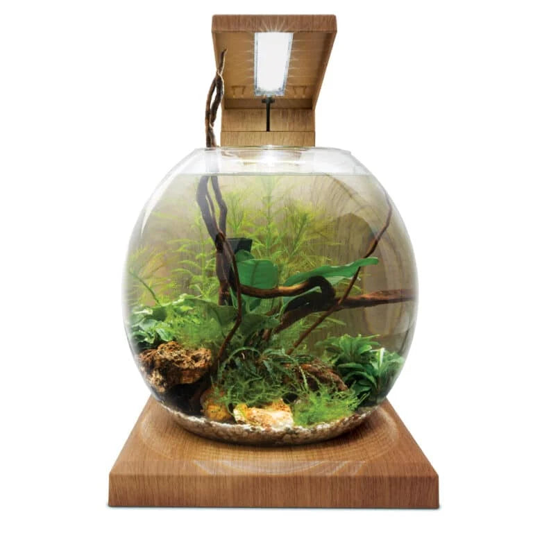 Fluval Liv Microscaping Teak Aquarium Kit 1.6 gal