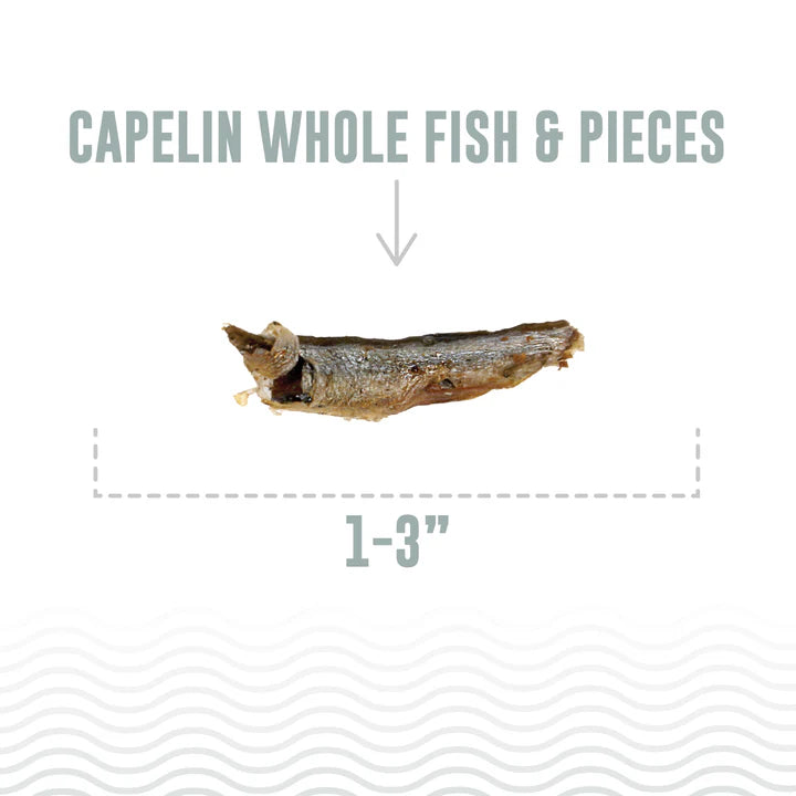 Icelandic+ Capelin Whole Fish & Pieces Cat Treats 1.5 oz