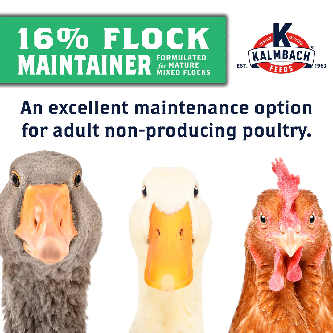 Kalmbach Feeds All Natural 16% Flock Maintainer Mini Pellets Poultry Feed 50 lb
