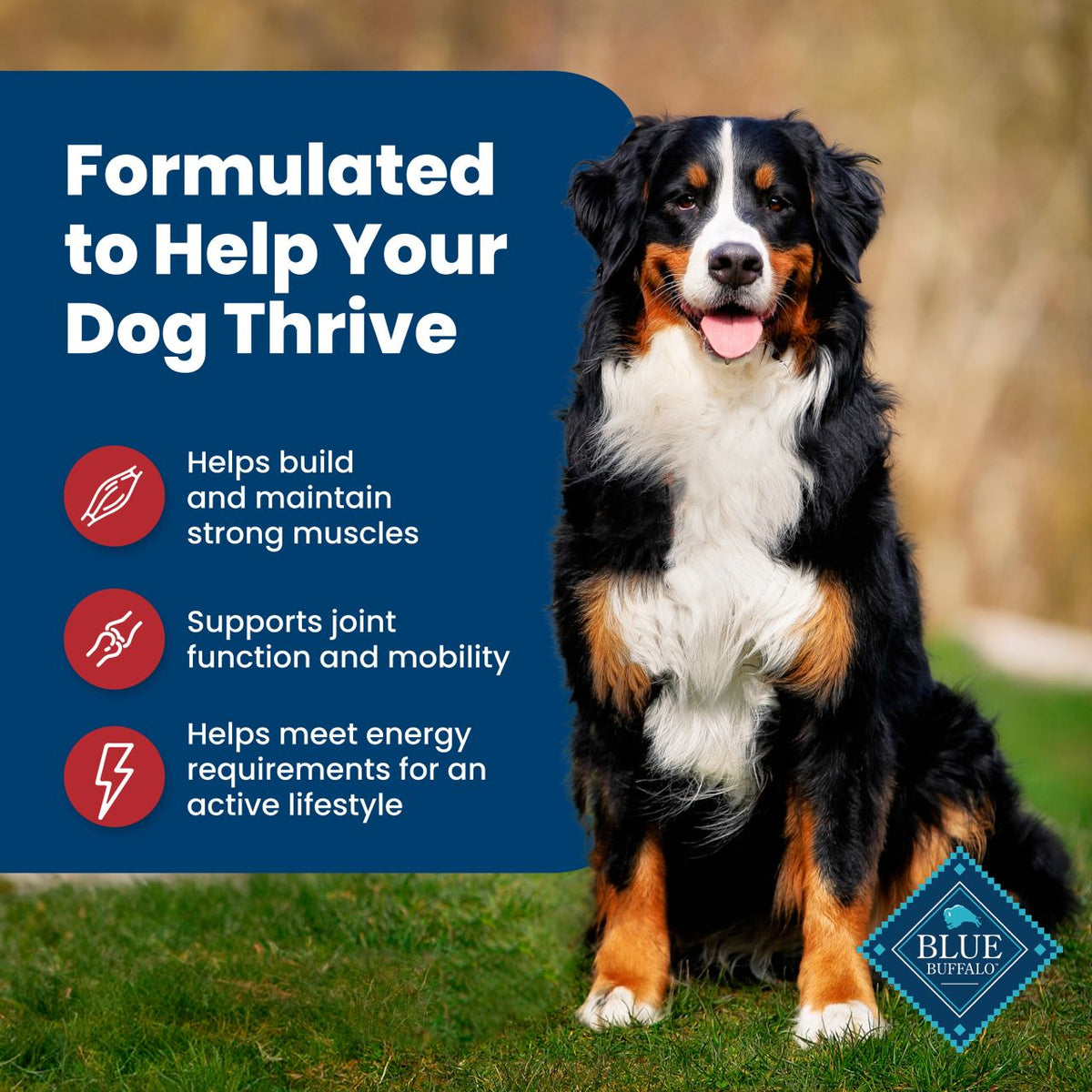 Blue Buffalo Life Protection Formula Adult Beef & Brown Rice Recipe Dry Dog Food