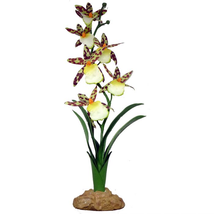 Incredipet Spider Orchid Reptile Terrarium Plant