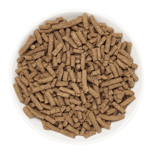 Marshall Digestive Support Premium Ferret Diet 4 lb