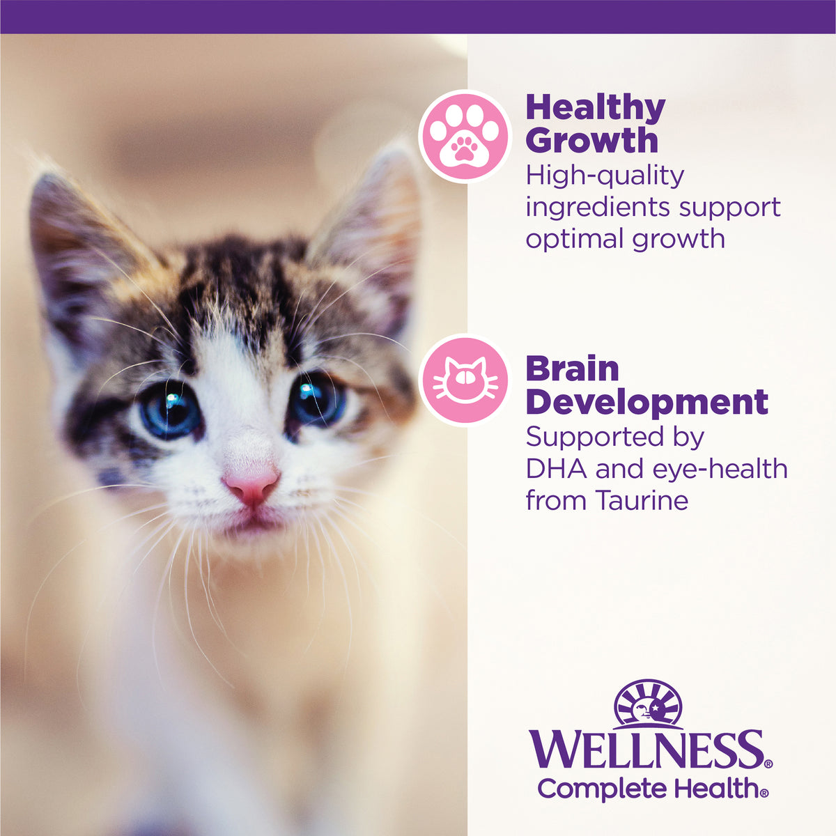 Wellness Complete Health Grain-Free Pate Whitefish & Tuna Canned Kitten Food