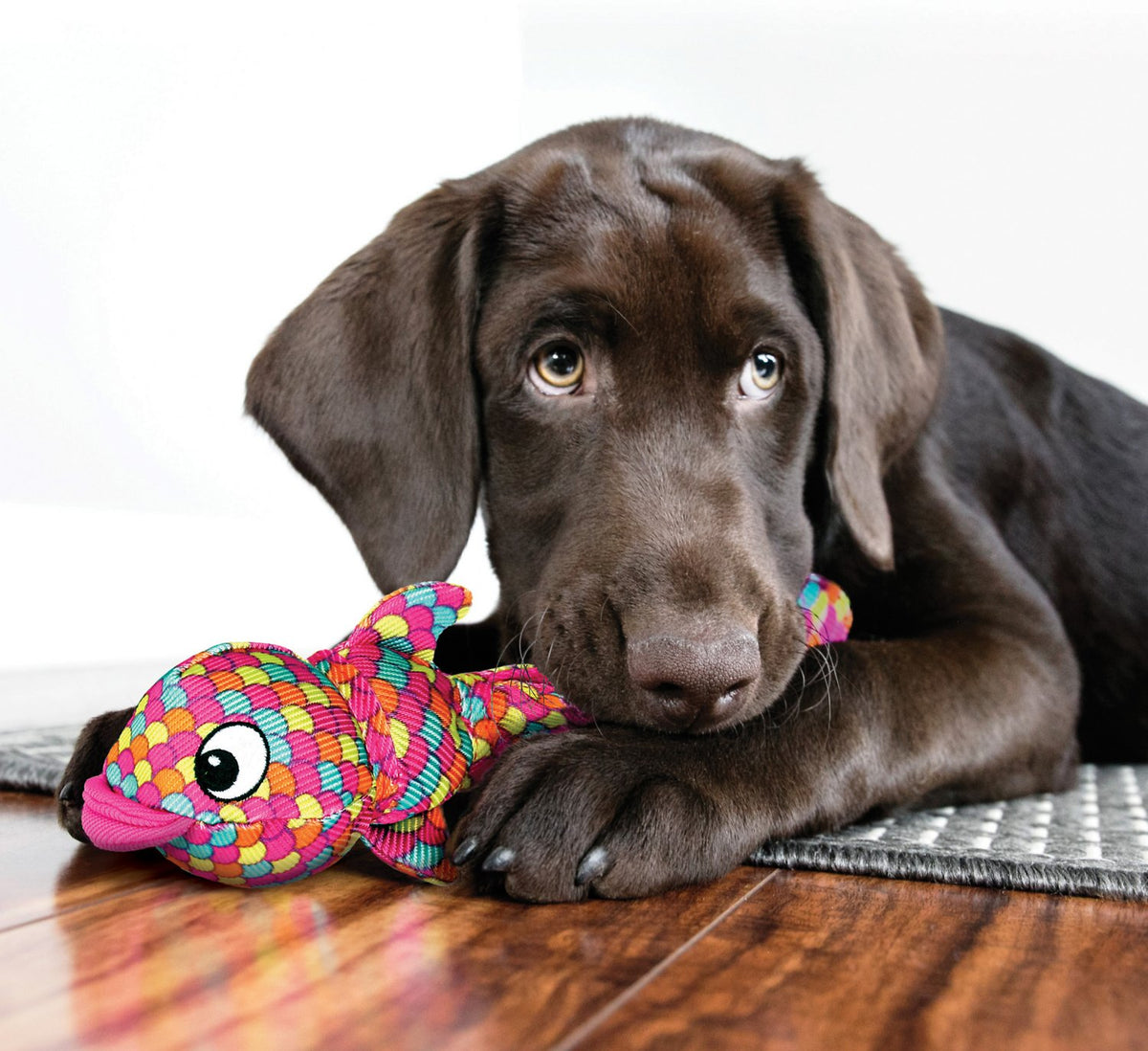 Kong Wubba Fins Dog Toy