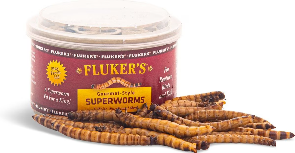 Fluker's Gourmet-Style Superworms Canned Reptile Food 1.2 oz