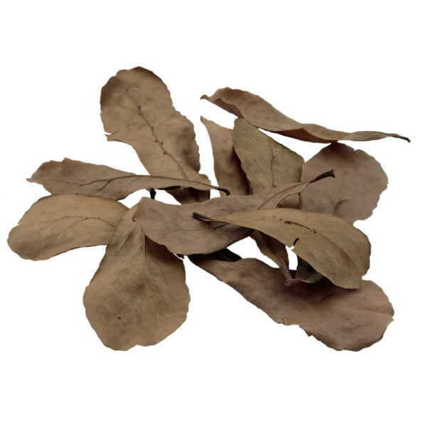 Fluval Betta Tropical Almond Leaf 10 pk