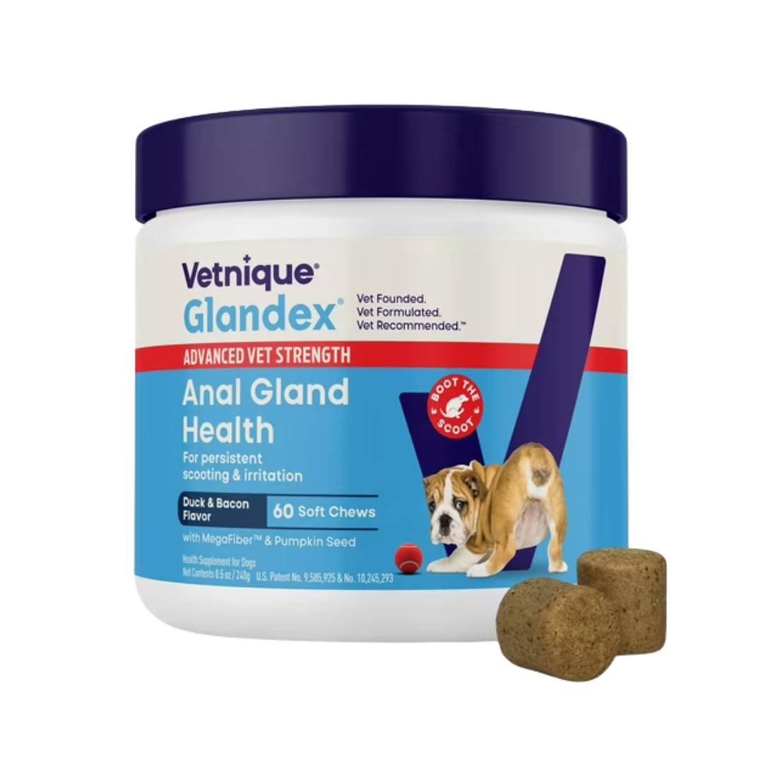 Glandex Advanced Vet Strength Anal Gland Duck & Bacon Flavor Soft Chews for Dogs 60 ct