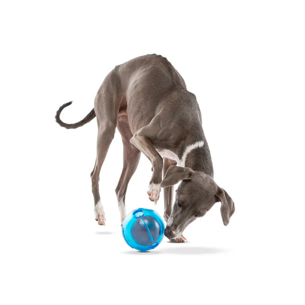 Guru Medium Treat Dispensing Ball Dog Toy