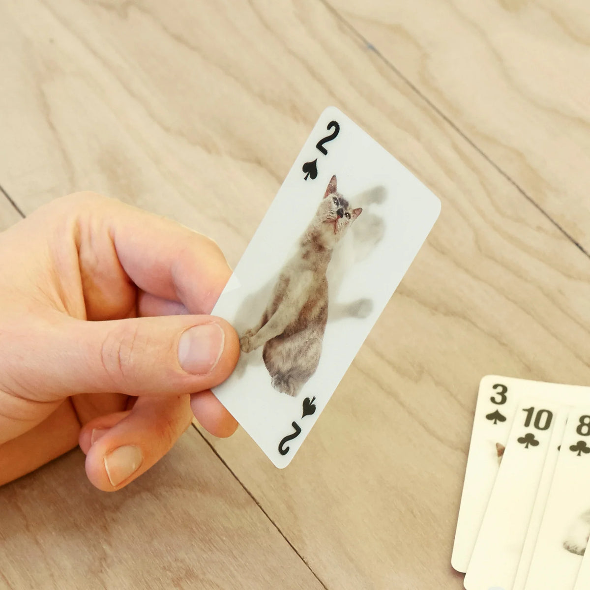 Kikkerland 3-D Cat Playing Cards