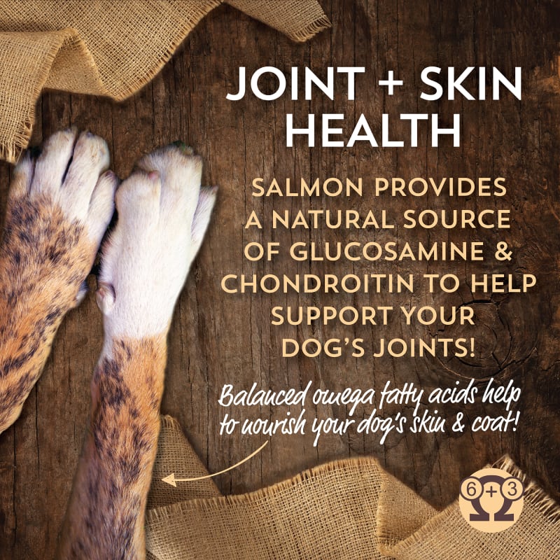 Wholesomes Sensitive Skin & Stomach Large Breed with Salmon Protein Dry Dog Food 30 lb