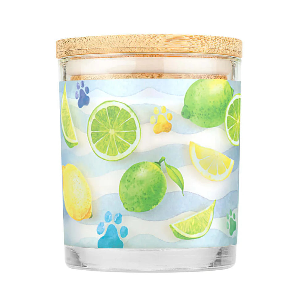 Pet House Sea Salt & Citrus Candle 9 oz