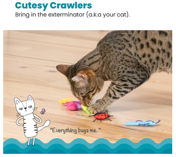 Catstages Cute As a Bug Plush Cat Toys 6 pk