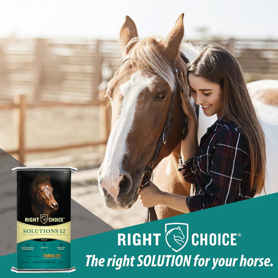 Kalmbach Feeds Right Choice Solutions 12% Pellet Horse Feed for Mature Horses 50 lb