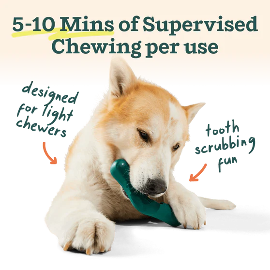 Woof The Bite n' Brush Refillable Dental Dog Chew