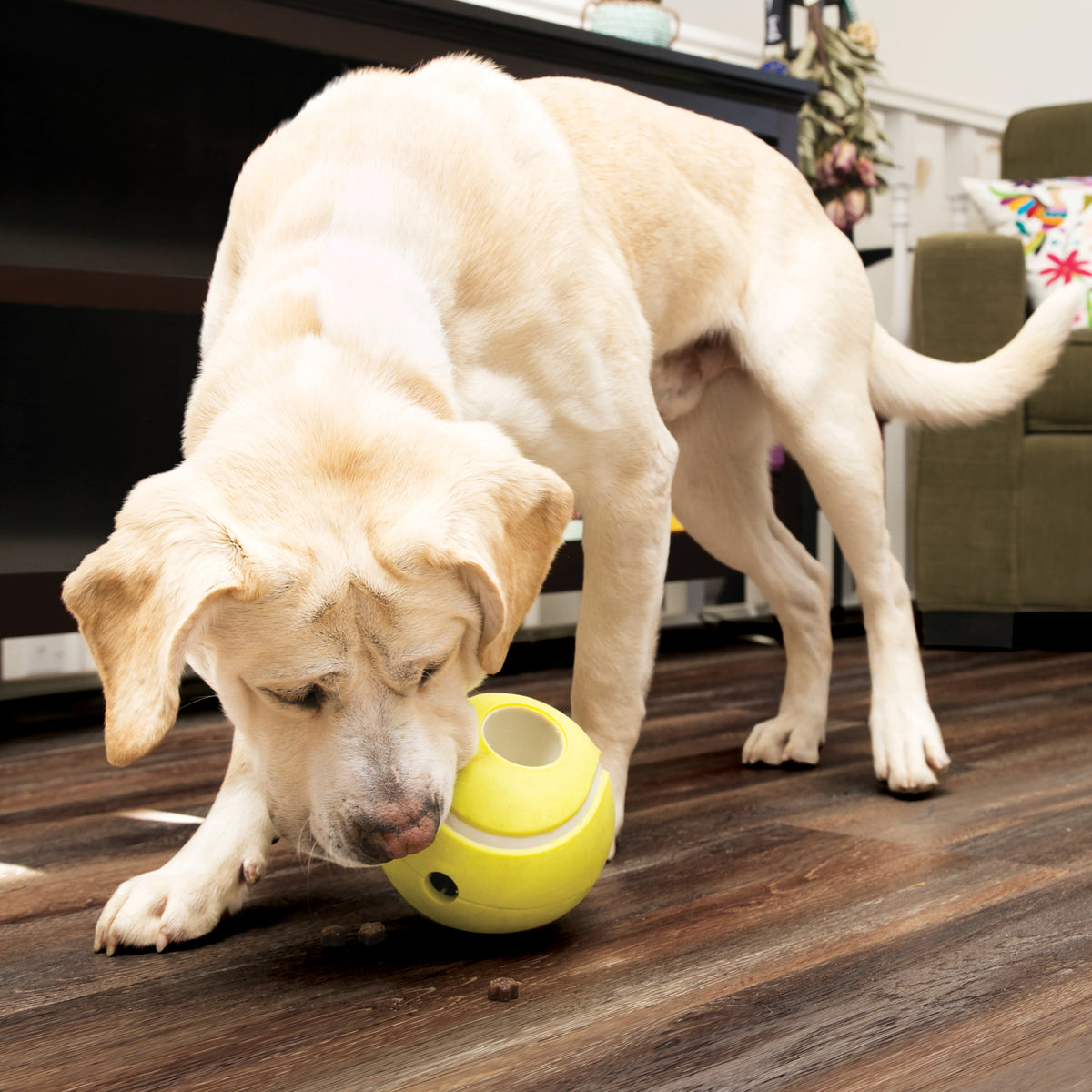 Kong Rewards Tennis Ball Treat Dispensing Dog Toy L