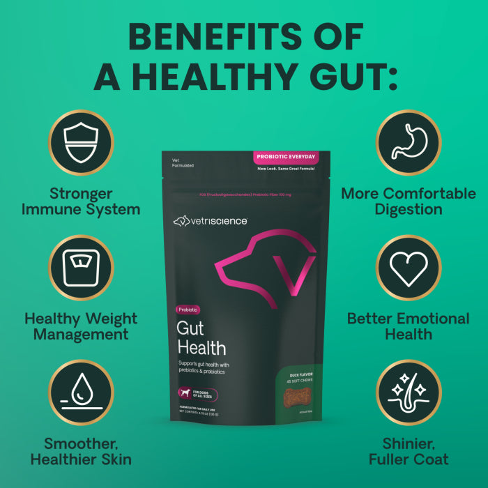 Vetriscience Probiotic Everyday Gut Health Duck Flavored Soft Chews for Dogs 45 ct