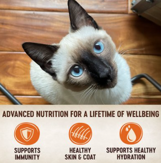 Wellness Core Signature Selects Flaked Skipjack Tuna & Shrimp Entree In Broth Grain-Free Canned Cat Food