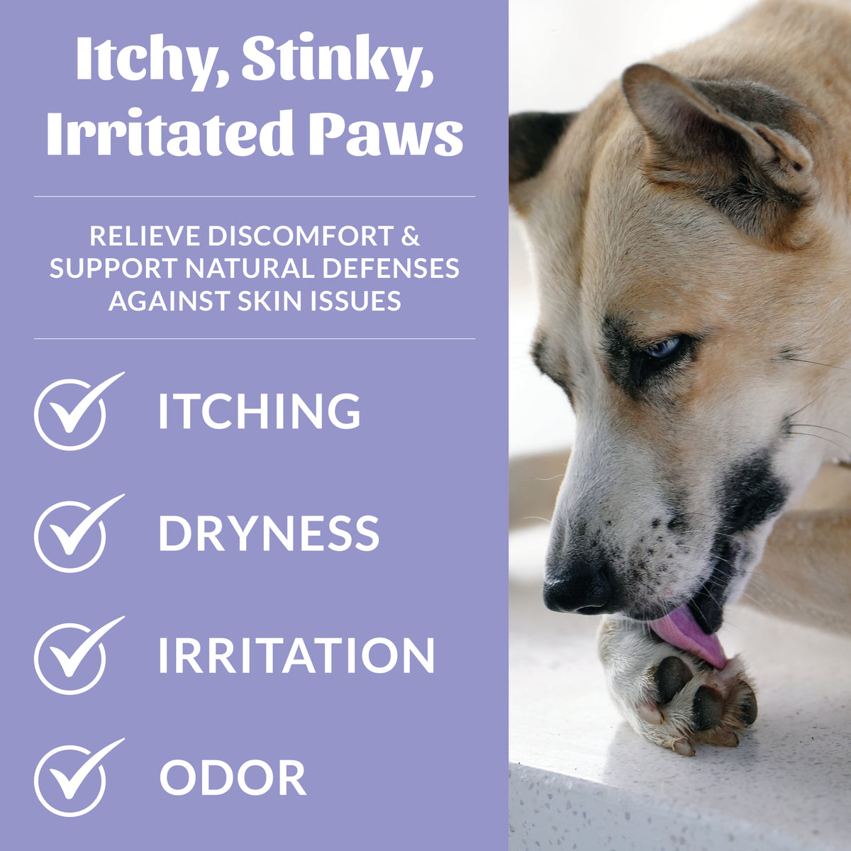 Skout's Honor Probiotic Paw Spray for Dogs & Cats 8 oz
