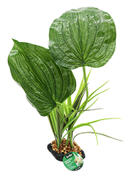 Incredipet Woodland Canopy Reptile Terrarium Plant