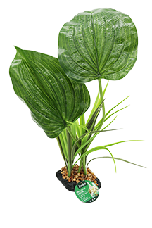 Incredipet Woodland Canopy Reptile Terrarium Plant