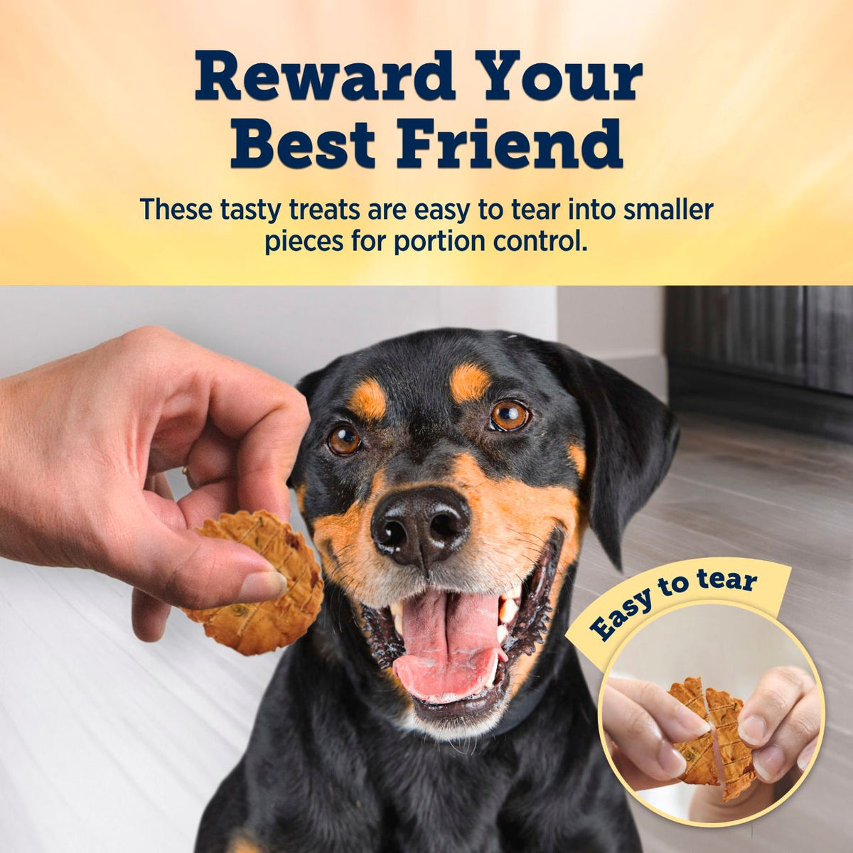 True Chews Chicken Pot Pie Recipe Dog Treats 12 oz