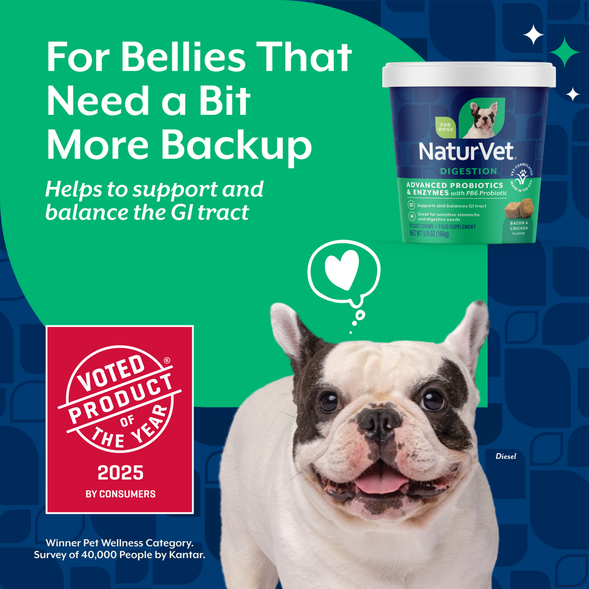 Naturvet Advanced Probiotics & Enzymes Plus Vet Strength PB6 Probiotic Dog Soft Chews