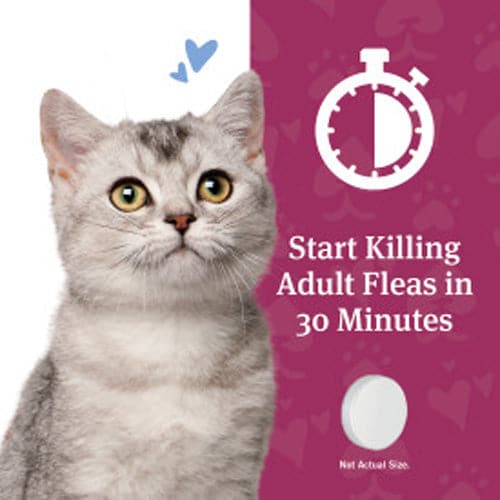 Petarmor CapAction Oral Flea Treatment Tablets for Cats 2-25lbs 6 ct