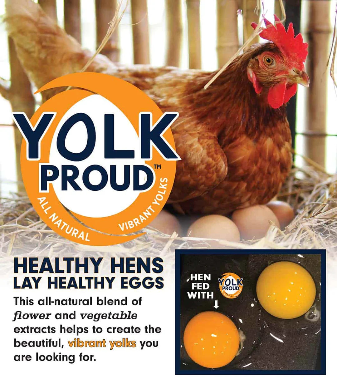 Kalmbach Feeds Premium Poultry Block 25 lb