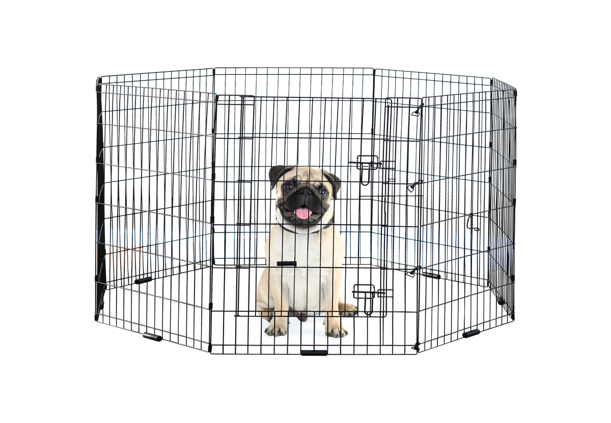 Incredipet Exercise Pen