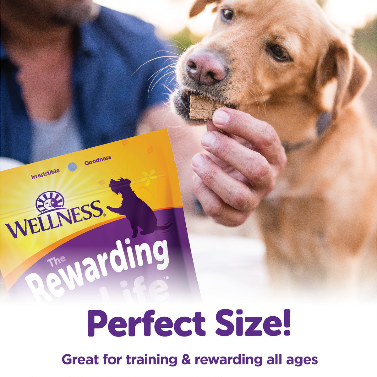 Wellness Rewarding Life Chicken & Venison Recipe Dog Training Treats 6 oz