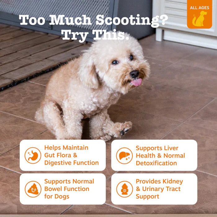 Zesty Paws Scoot Away Bites Gut Health Soft Chews for Dogs 90 ct