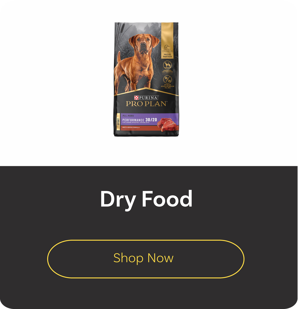Dog Food Dry Food