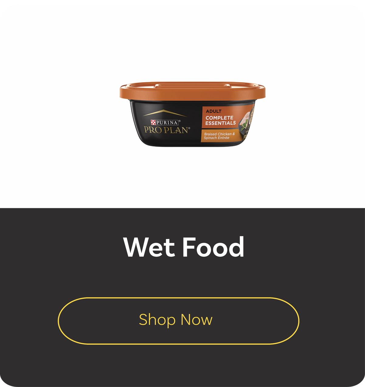 Dog Food Wet Food