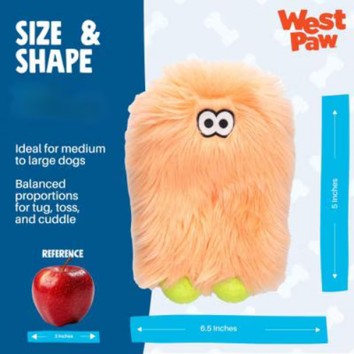 West Paw Astrid Rowdies Seafoam Durable Squeaky Plush Dog Toy