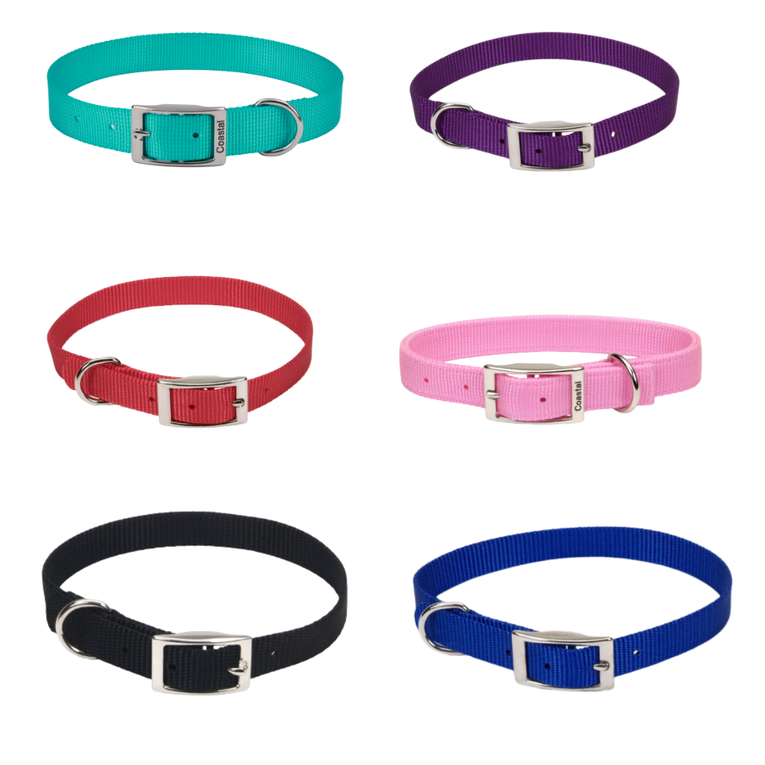 Coastal Pet Products Single Ply Nylon Dog Collar