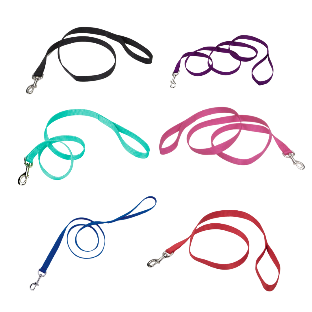 Coastal Pet Products Single Ply Nylon Dog Leash