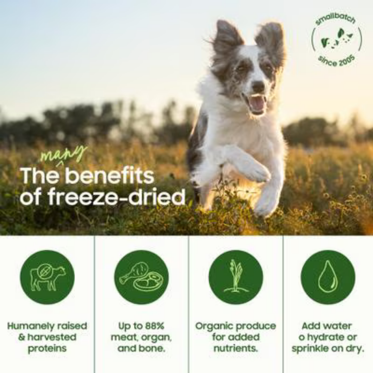 Smallbatch Pet Food Freeze-Dried Duck Small Bites Dog Food 7 oz