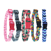 Coastal Pet Products Styles Adjustable Dog Collar