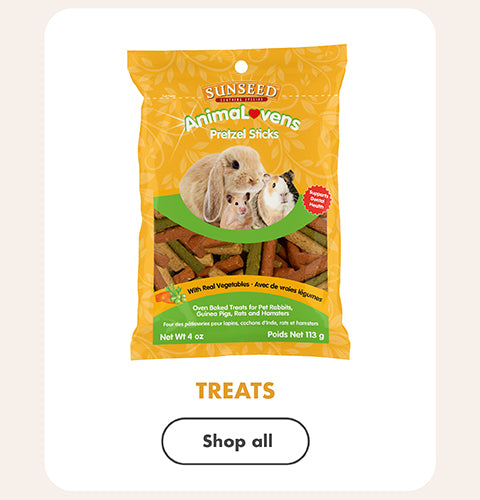Small Pet Supplies Treats