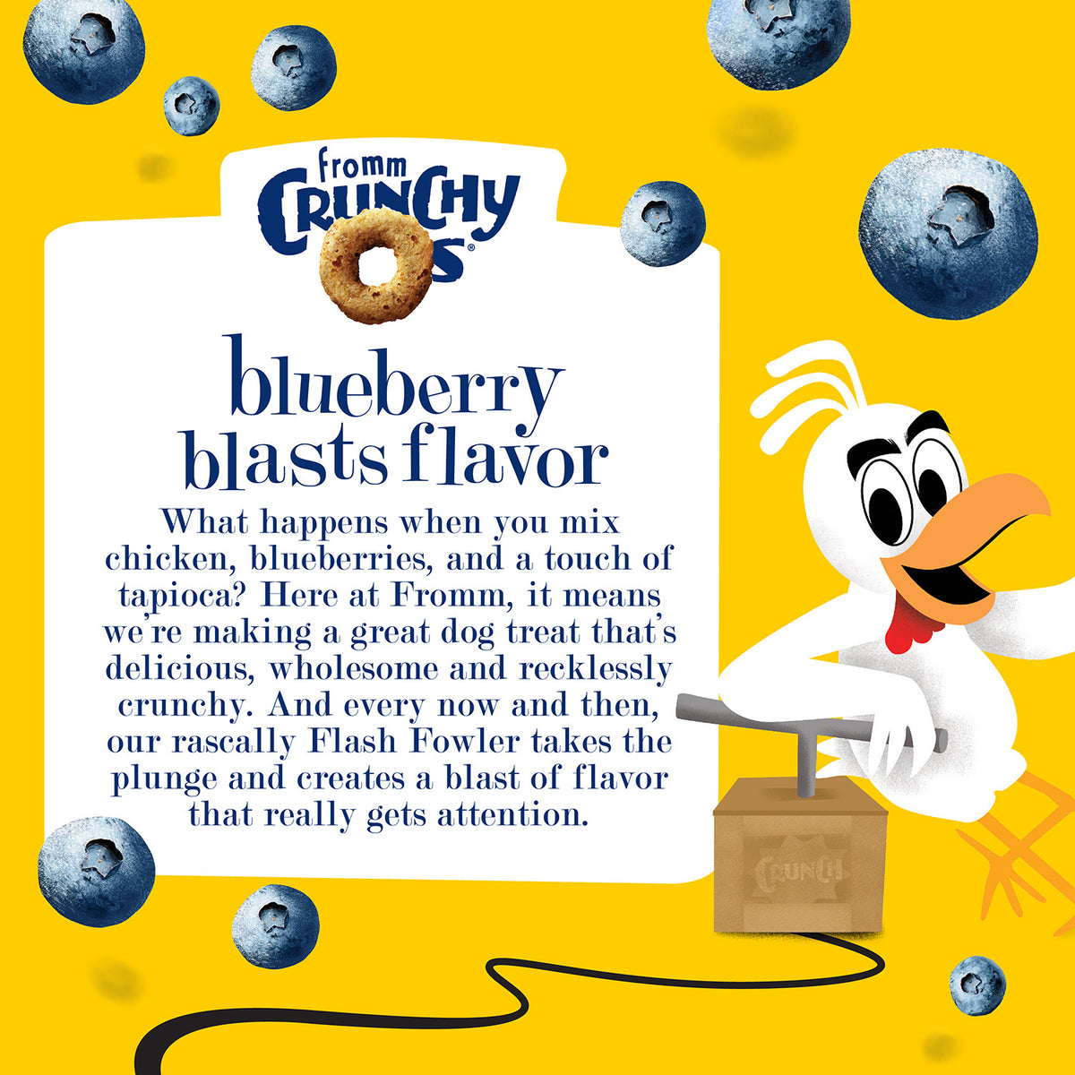 Fromm Crunchy Os Blueberry Blasts Dog Treats 6 oz